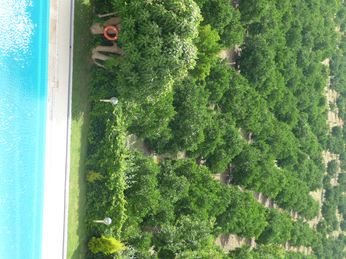 P1040248.JPG 3456x2592 index 4